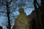 Brugge 15
