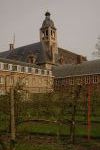 Brugge 50