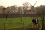 Brugge 53