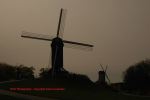 Brugge 68