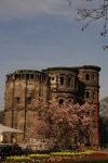 Trier 2