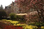 Trier 4