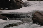 The Ice Project 12