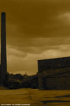 Danville 43