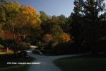 Fall In Duke Gardens 9