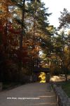 Fall In Duke Gardens 15
