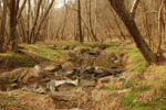 Eno River II: 3