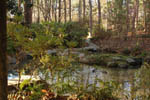 Spring Duke Gardens 27