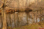 Little River Reflections 1