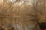 Little River Reflections 3
