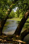 Springtime On The Eno 1