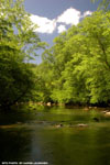 Springtime On The Eno 9