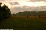 Spring Rain 2