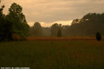 Spring Rain 13