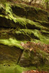 SC Hiking 13