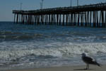 Virginia Beach Marathon 23