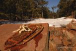 Lyons Ghost Town 17