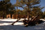 Lyons Ghost Town 18