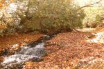 NC Mts In Fall 16