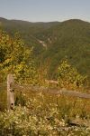 NC Mts In Fall 32