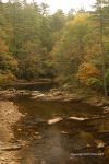 NC Mts In Fall 40