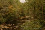 NC Mts In Fall 41