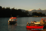 Petrohue 33