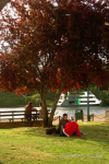 Valdivia & Pucon 9