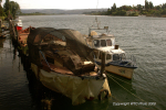 Valdivia & Pucon 10