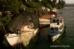 Valdivia & Pucon 11