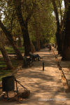 Santiago & Loncoche  64