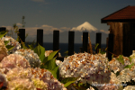 Puerto Varas & Frutillar 9