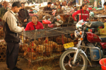 Yangshuo