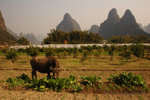 Yangshuo