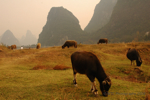 Yangshuo