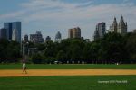 NYC Central Park 1