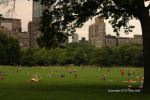 NYC Central Park 51