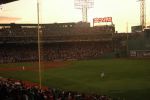 Fenway Park 10