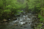 Hiking In The Rain 17