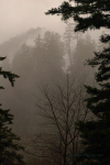 Hiking In The Rain 23