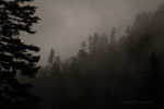 Hiking In The Rain 24