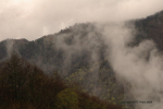 Hiking In The Rain 26