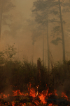 Clemson Controlled Burn 22