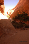 Arches 33