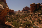 Canyonlands 20