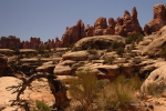 Canyonlands 24