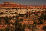 Canyonlands 29