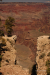 Grand Canyon 11