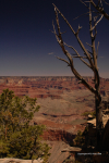 Grand Canyon 12