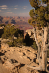 Grand Canyon 28